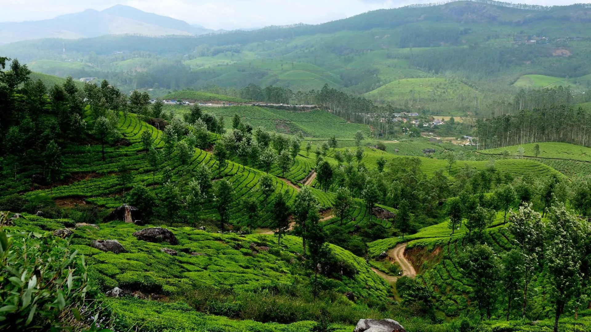 Mountain Club Resort Munnar Chinnakanal
